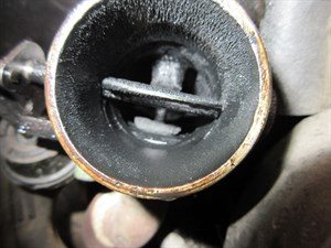 IMG_0185.JPG