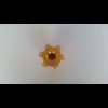 Snap off med spline