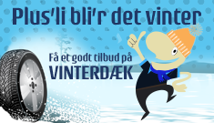 Vinterdaek