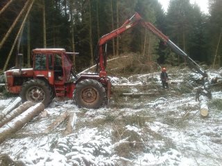 d96c908ade-Billeder-Foto Skov-Bodil 10.JPG-for-web-normal.jpg